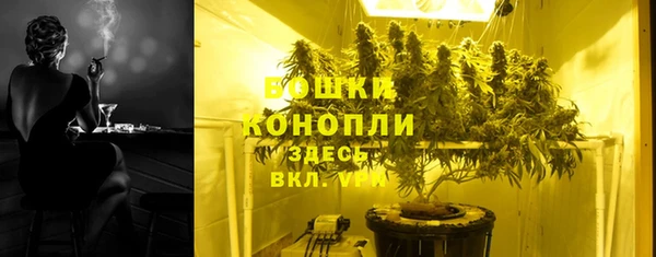 соль ск Каменка