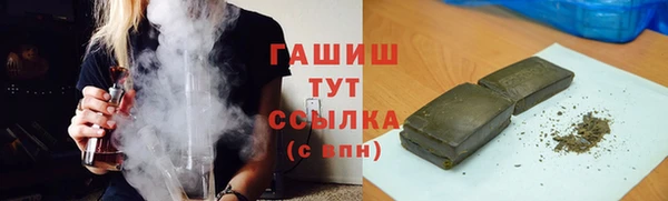 соль ск Каменка
