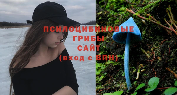 дмт Чердынь