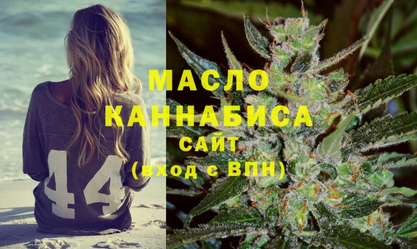 соль ск Каменка