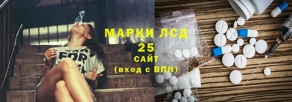 прущие грибы Чегем