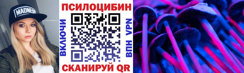 Купить закладки  Мезень  Псилоцибиновые грибы мицелий 